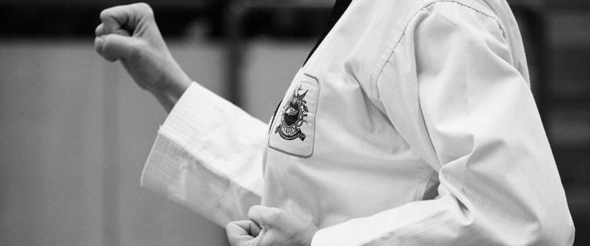 Stöd Vallentuna Taekwondo