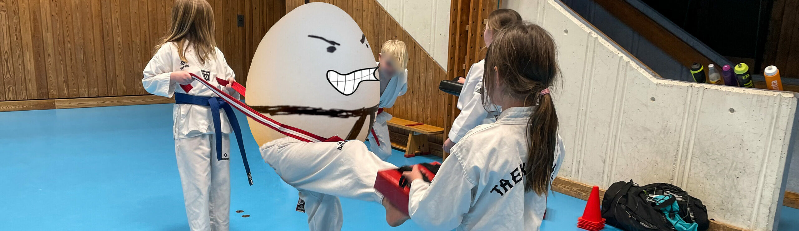 Träningen inställd – v.15